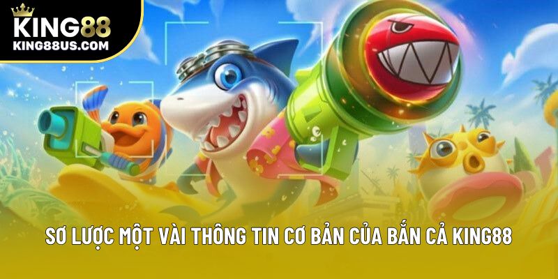 Sơ lược một vài thông tin cơ bản của bắn cả King88