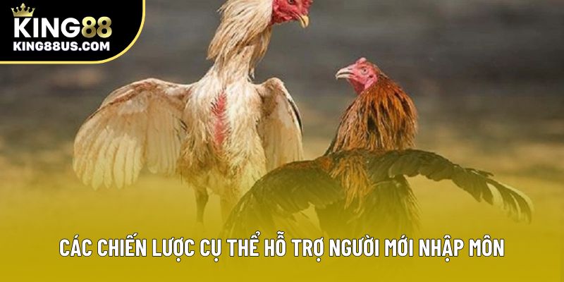 Các chiến lược cụ thể hỗ trợ người mới nhập môn