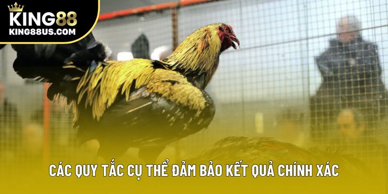 Các quy tắc cụ thể đảm bảo kết quả chính xác