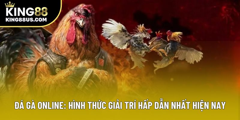 Đá gà online: Hình thức giải trí hấp dẫn nhất hiện nay