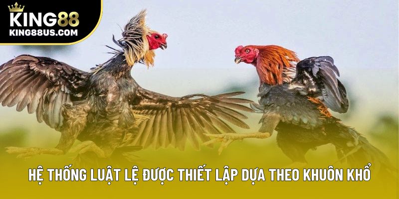 Hệ thống luật lệ được thiết lập dựa theo khuôn khổ