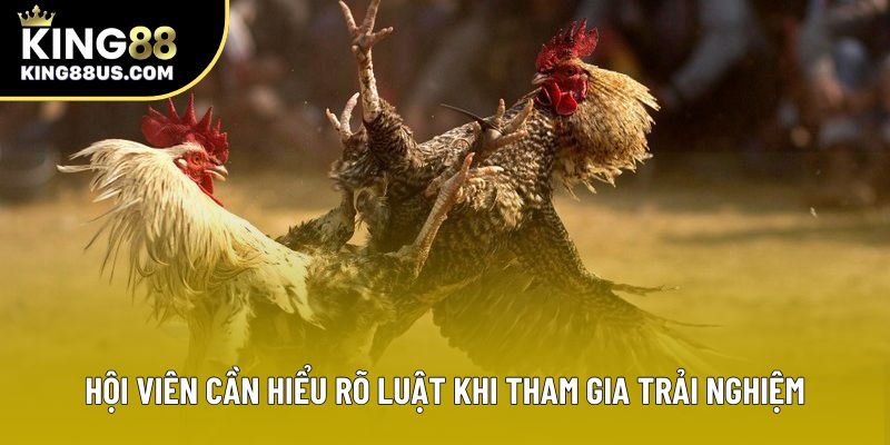 Hội viên cần hiểu rõ luật khi tham gia trải nghiệm Hội viên cần hiểu rõ luật khi tham gia trải nghiệm