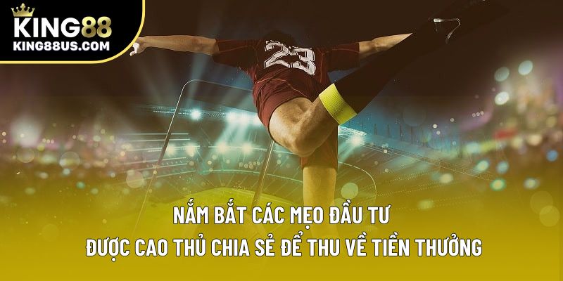 Nắm bắt các mẹo đầu tư được cao thủ chia sẻ để thu về tiền thưởng