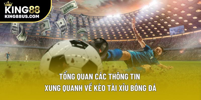 Tổng quan các thông tin xung quanh về kèo tài xỉu bóng đá