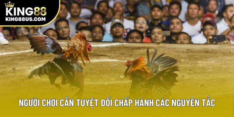 Người chơi cần tuyệt đối chấp hành các nguyên tắc Người chơi cần tuyệt đối chấp hành các nguyên tắc