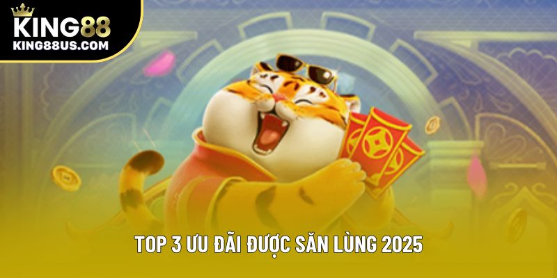 Top 3 ưu đãi được săn lùng 2025
